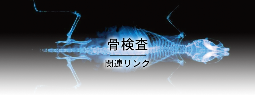 環境分析
